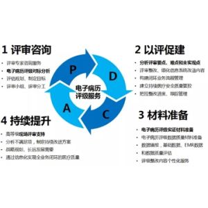 电子病历评级服务