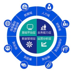 中科医卫推出一体化的全场景、全链条、全要素的新一代医院一体化智慧运营管理平台（HRP）</a>